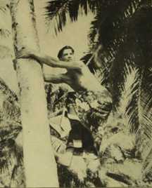 Picture13