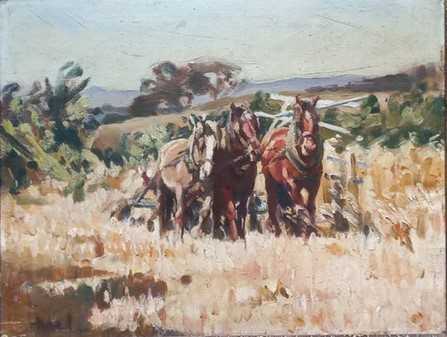 Picture19
