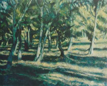 Picture37