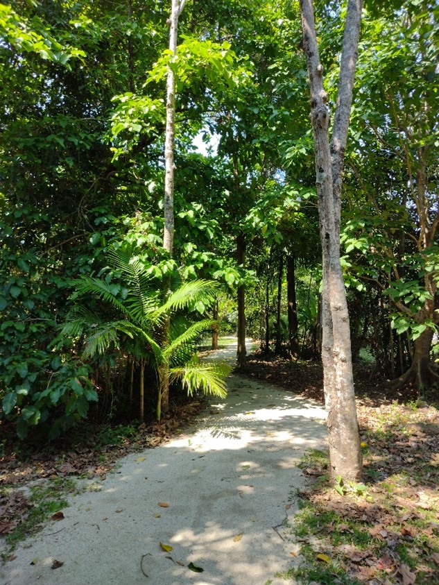 Picture9