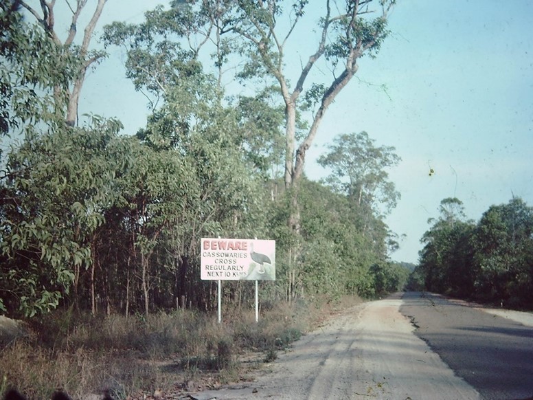 Picture8