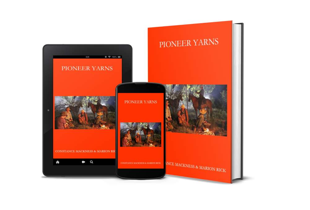 Pioneer Yarns