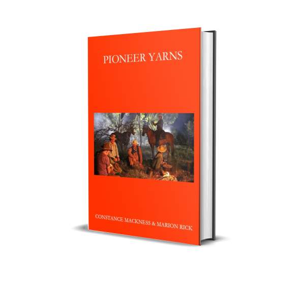 Pioneer Yarns