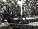 ernie morris at the sawmill on dunk island  c  morris family