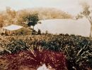 garner homestead and pineapple plantation  c  garner family