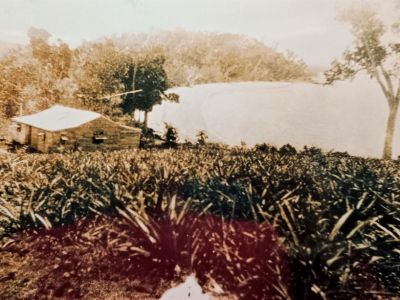 garner homestead and pineapple plantation  c  garner family