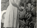 rosa perry with bannana bunch meryl harding