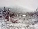 banfield s bungalow on dunk island  banfield  e. last leaves from dunk island