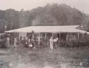 bicton  homestead of the cuttens at bingil bay  1895 taylor. r.j. the lost plantation 
