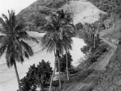 bingil bay  c.1940s cc libraries
