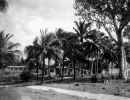 chalets at dunk island state library of qld