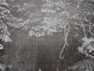 confessions of beachcomber falling star cave  exterior  p.271