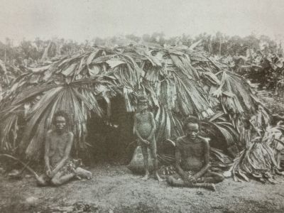 confessions of beachcomber fan palm leaf dwelling p.245
