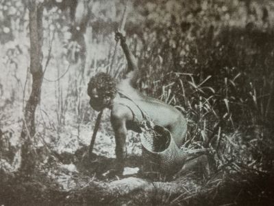 confessions of beachcomber yam digger p.283