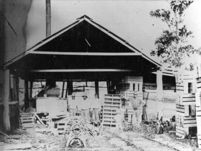 cutten brothers sawmill bingil bay cc libraries