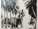 dunk island   the hut on the right above the high tide was the bar state library of qld