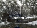 ernie morris at sawmill  dunk island courtesy morris family
