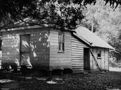 first home of e.banfield  dunk island cc libraries