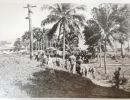 official opening of dunk island  a tourist resort by brice henry  2 may state library of qld