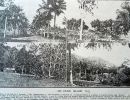 on dunk island  details bottom 