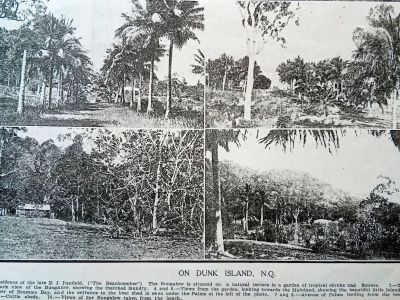 on dunk island  details bottom 