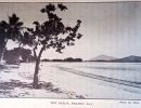 the beach  brammo bay last leaves from dunk island   p.132