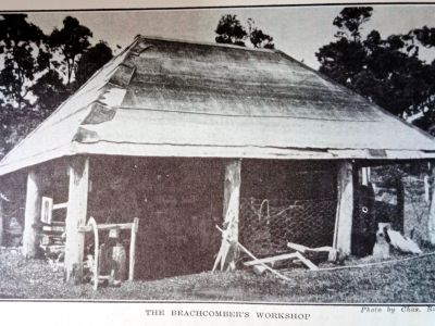 the beachcomber s workshop last leaves from dunk island   p.88