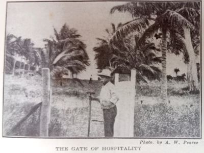 the gate of hospitality last leaves from dunk island   p.104