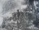 tropic days at home on the tropic strand   photo ishmael  frontispiece