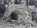 tropic days p.253   deserted   photo ishmael 