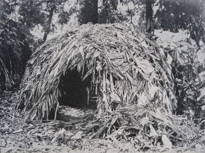tropic days p.253   deserted   photo ishmael 