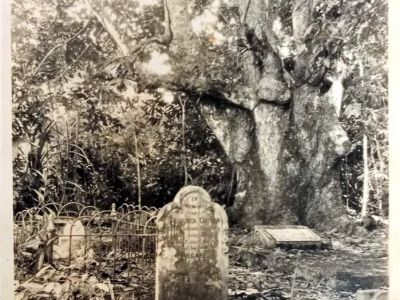 cutten graves